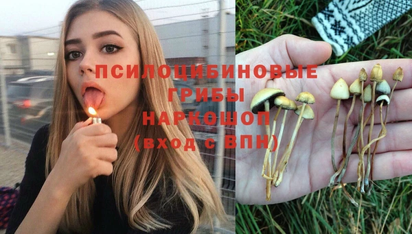 стафф Алексин