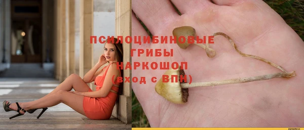 каннабис Алзамай