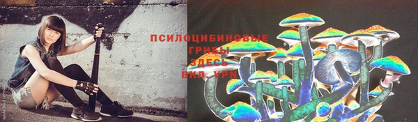 стафф Алексин