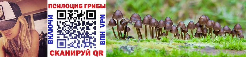 МЕГА зеркало  хочу наркоту  Обнинск  Псилоцибиновые грибы Psilocybe 