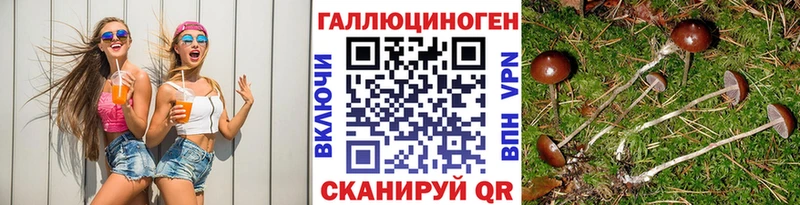 Псилоцибиновые грибы мухоморы Обнинск